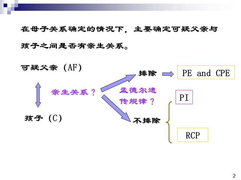 个人识别的证据意义评估.ppt_第2页