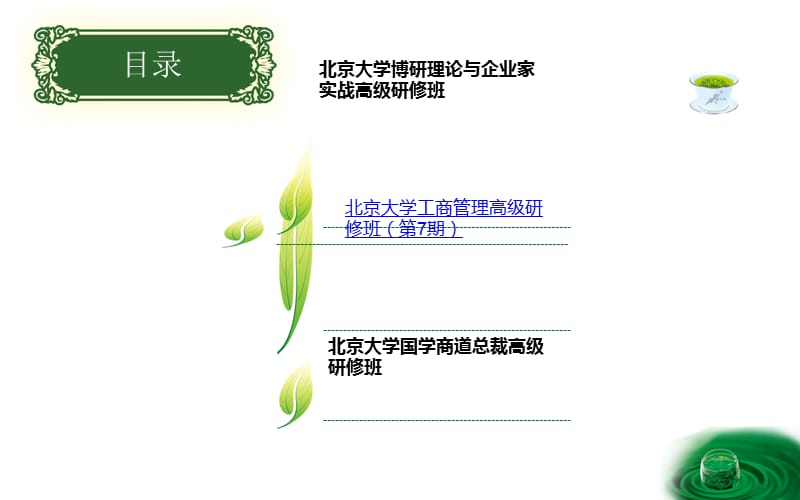 北京大学博士班课程汇总.ppt_第2页