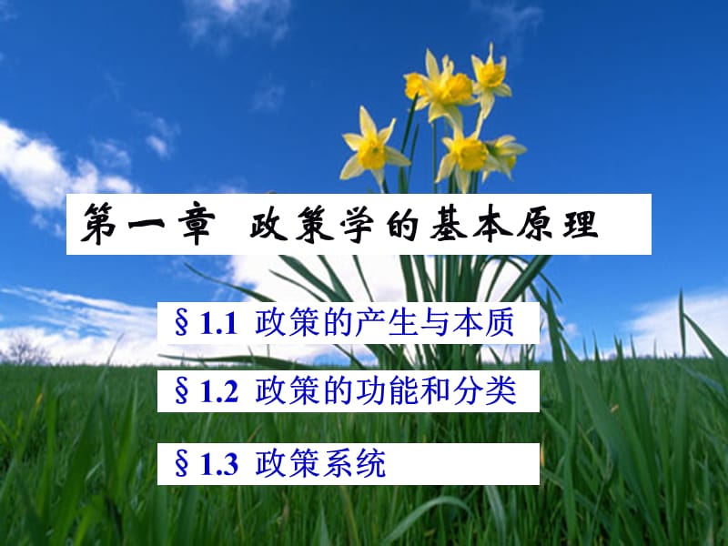 2011第一章政策学的基本原理.ppt_第1页