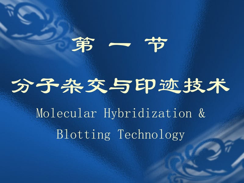 常用分子生物学技术原理及应用.ppt_第2页