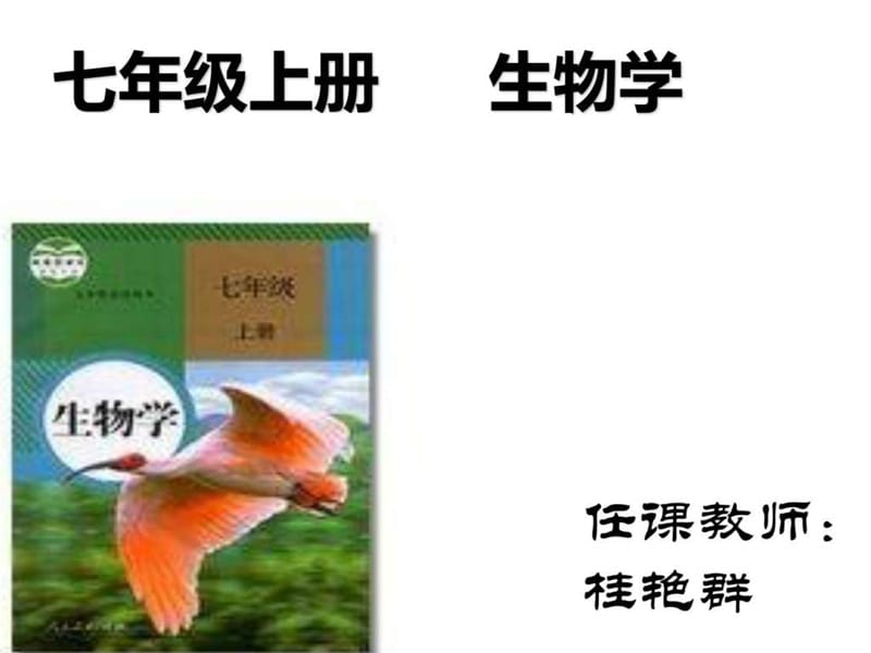 第一节 生物的特征.ppt_第1页