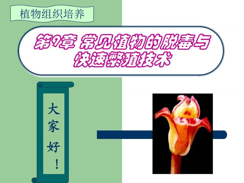 第9章 常见植物的脱毒与快速繁殖技术_图文.ppt.ppt_第1页