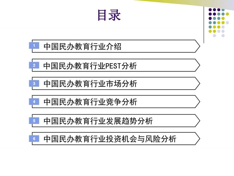 中国民办教育行业分析_图文.ppt_第2页
