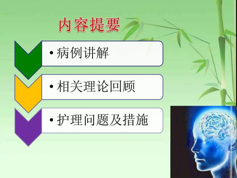 脑出血.ppt.ppt.ppt_第2页