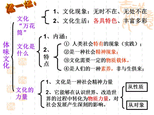 1.2文化与经济政治重点班.ppt