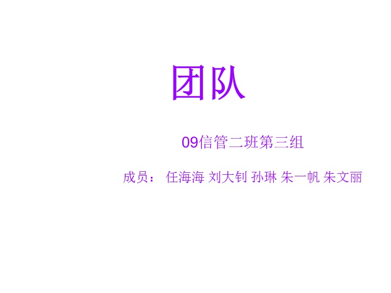 09信管2班第三组.ppt_第1页