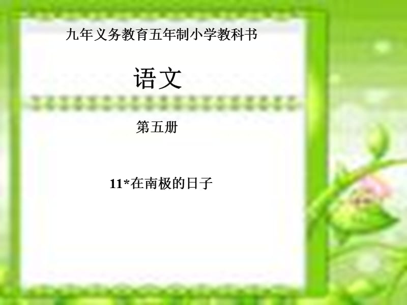 六年级《在南极的日子》ppt课件.ppt_第2页