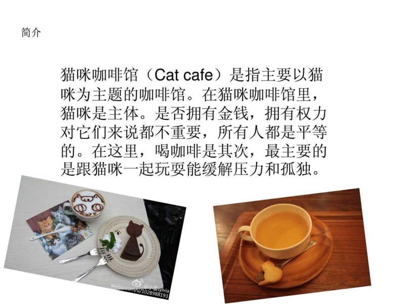 来到猫咪咖啡馆.ppt.ppt_第2页