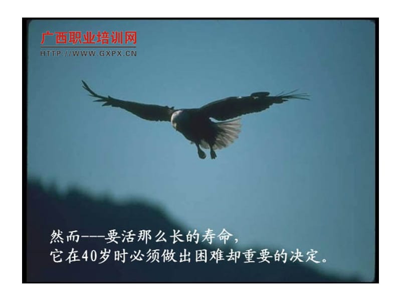 励志-鹰的重生-职业培训-职业经理人-突破.ppt_第3页