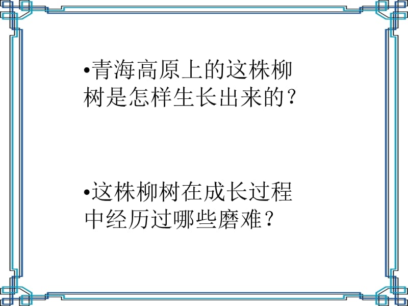 六年级语文上册青海高原一株柳3课件苏教版.ppt_第2页