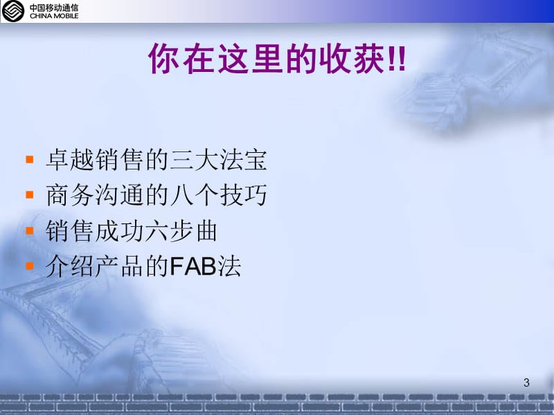 渠道管理和销售技巧提升.ppt_第3页