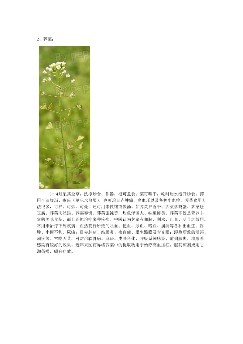 常见可食用植关物实物图.doc_第2页