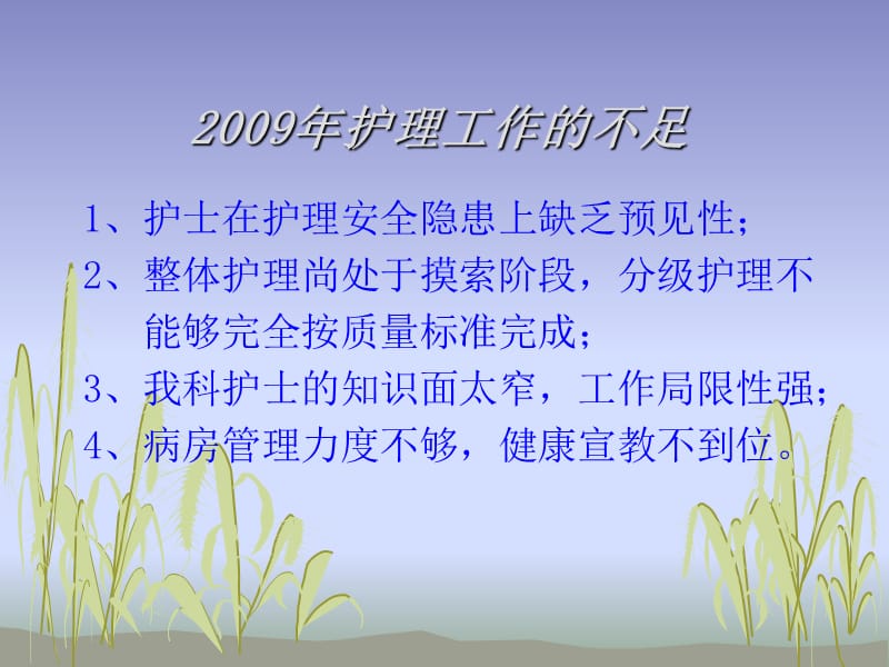 2010年护士长工作计划.ppt_第1页