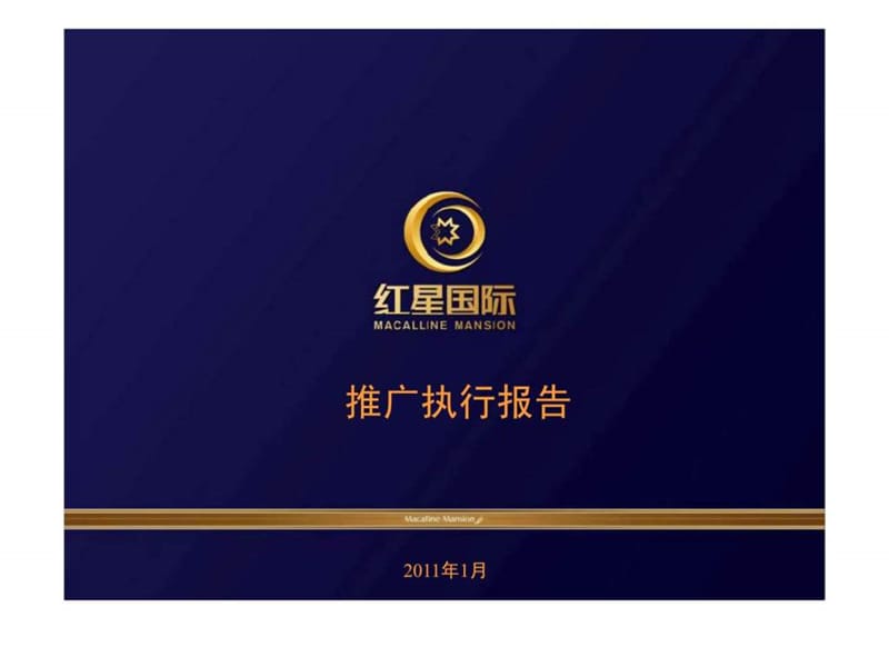 红星国际推广执行报告.ppt_第1页