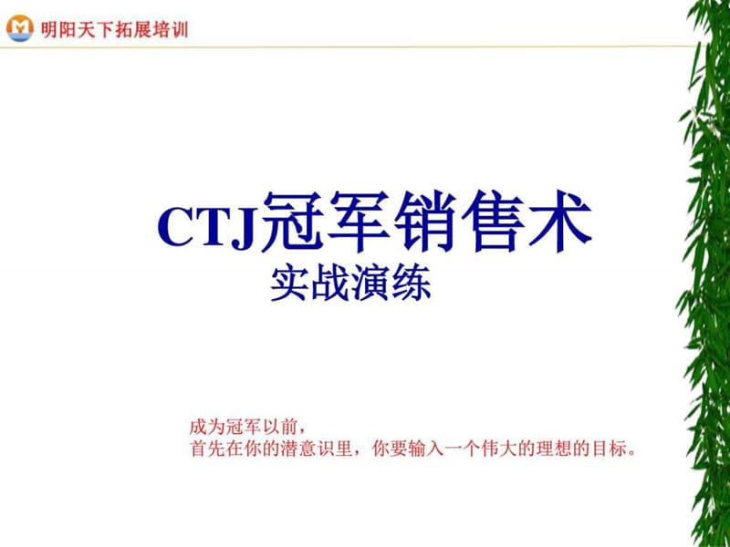 冠军销售术：实战演练.ppt.ppt_第1页