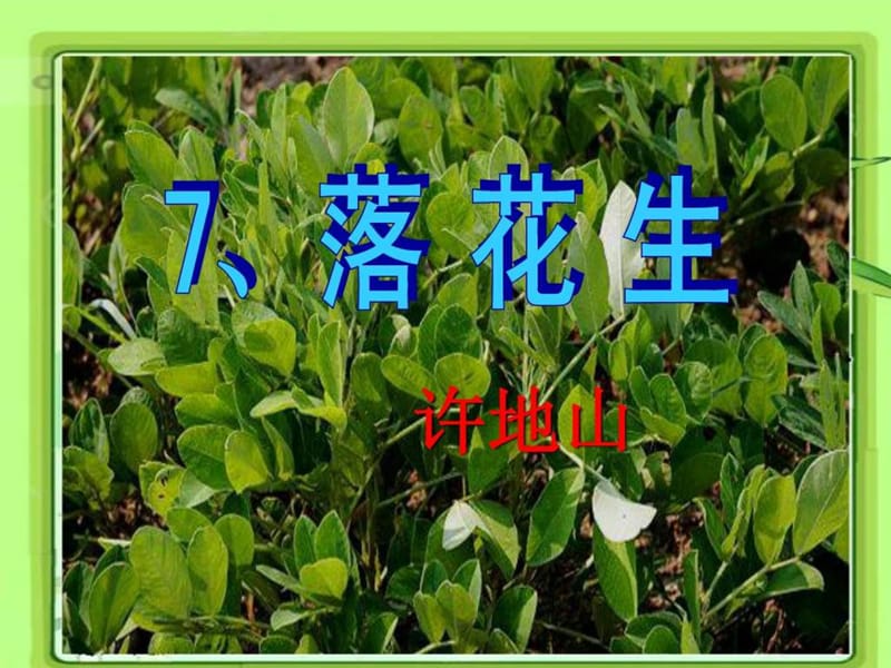 落花生ppt课件_图文_1535672060.ppt.ppt_第1页