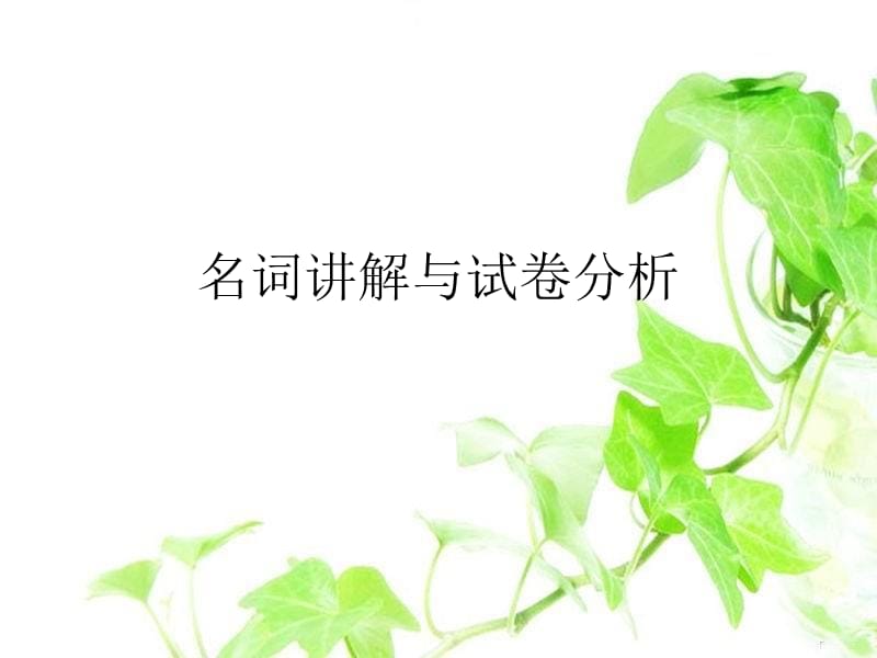 名词讲解与试卷分析.ppt_第1页