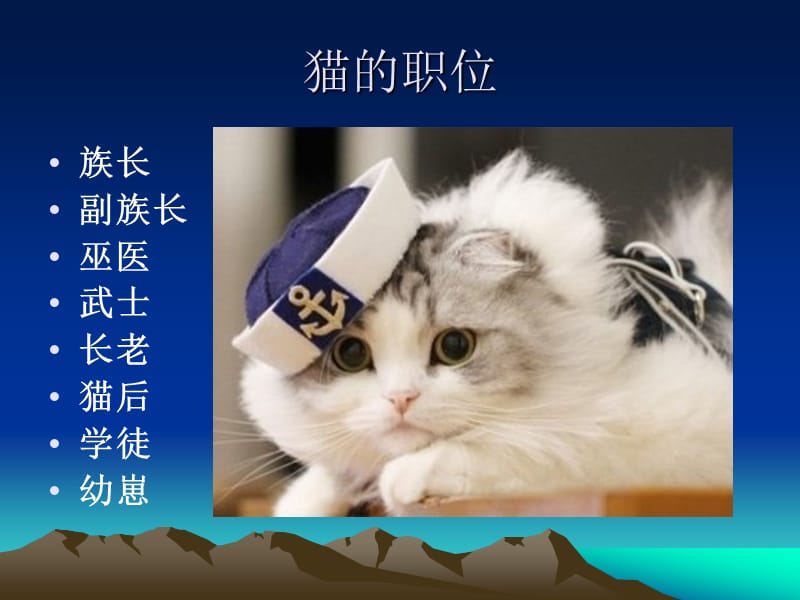 猫武士(我最喜欢的一本书演讲).ppt_第3页