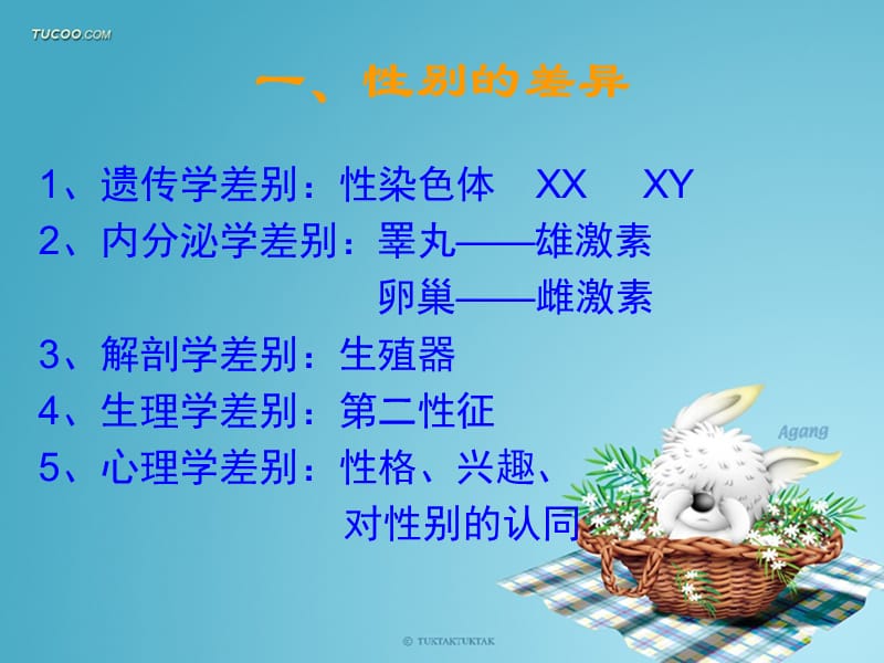 女生青春期教育讲座.ppt_第2页