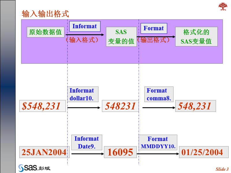 Ch4SAS的输入输出格式.ppt_第3页