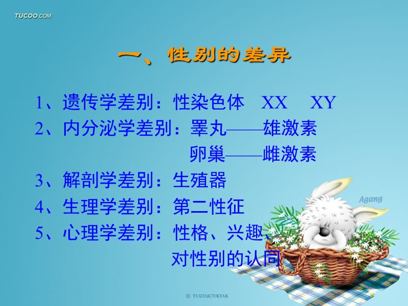 女生青春期的心理.ppt_第2页