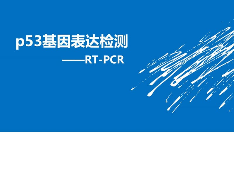 分子生物学PBL-基因表达检测_图文.ppt.ppt_第1页