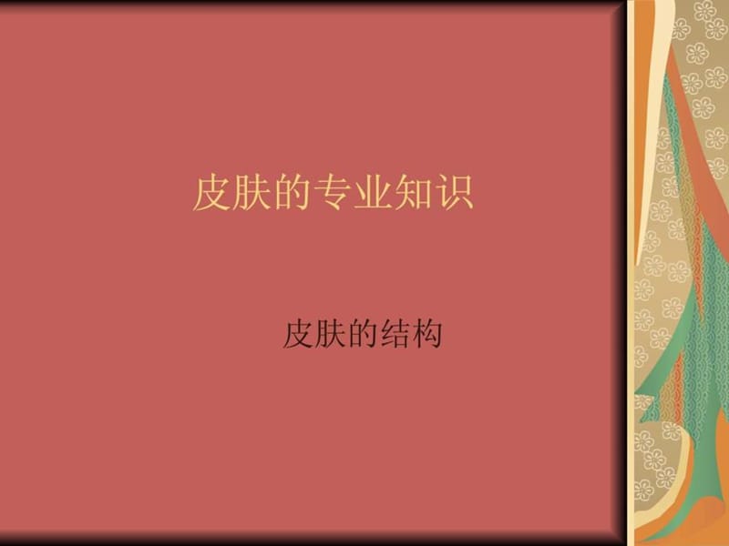 美容-皮肤的专业知识.ppt_第1页