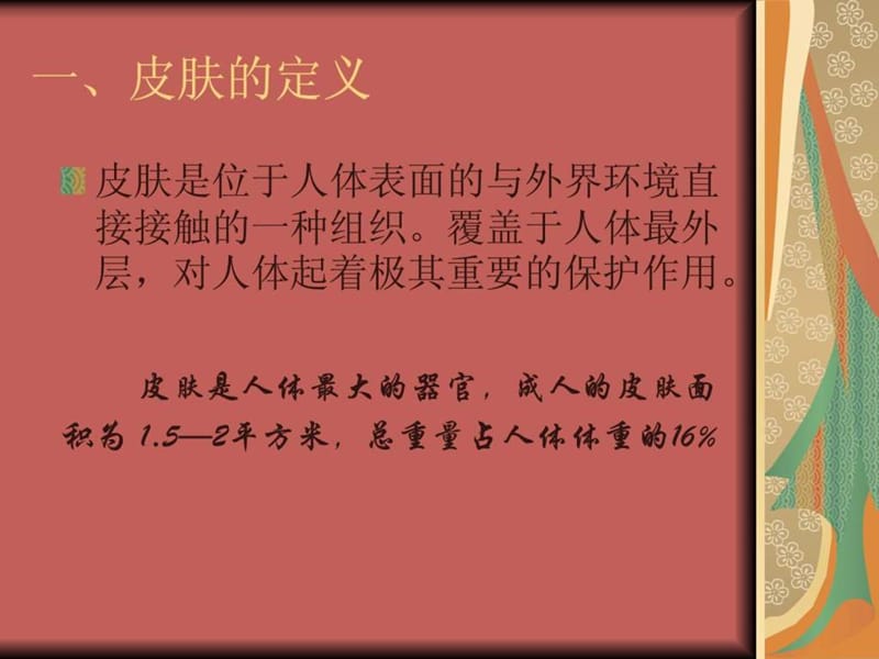 美容-皮肤的专业知识.ppt_第2页