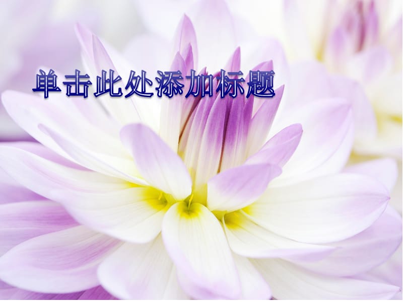 PPT经典模板——花朵背景PPT模板.ppt_第1页