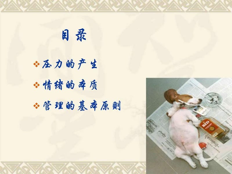 压力与情绪管理培训课件.ppt.ppt_第2页