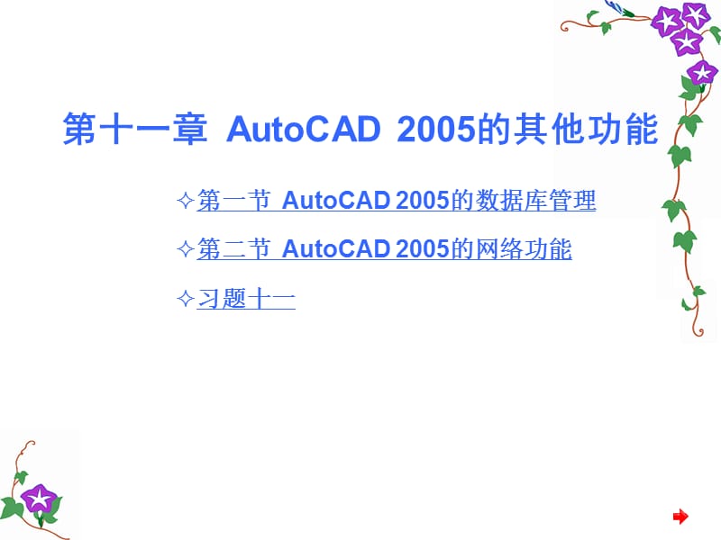 AutoCAD2005的其他功能.ppt_第1页