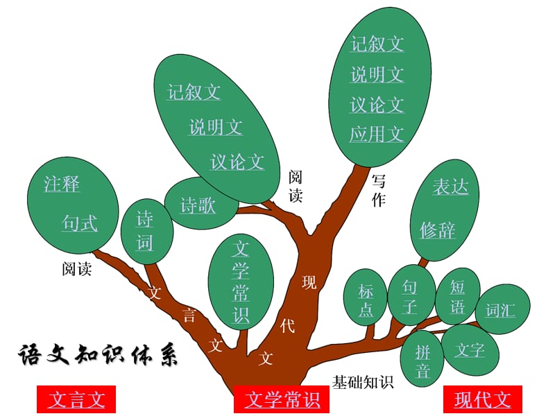 2011届语文高考复习课件语文知识树.ppt_第3页