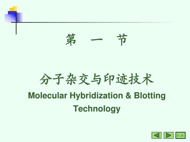 分子生物学常用技术_图文.ppt_第2页