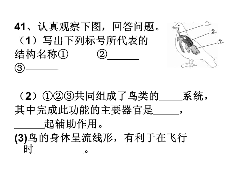 期中考试试卷高频错题.ppt_第1页