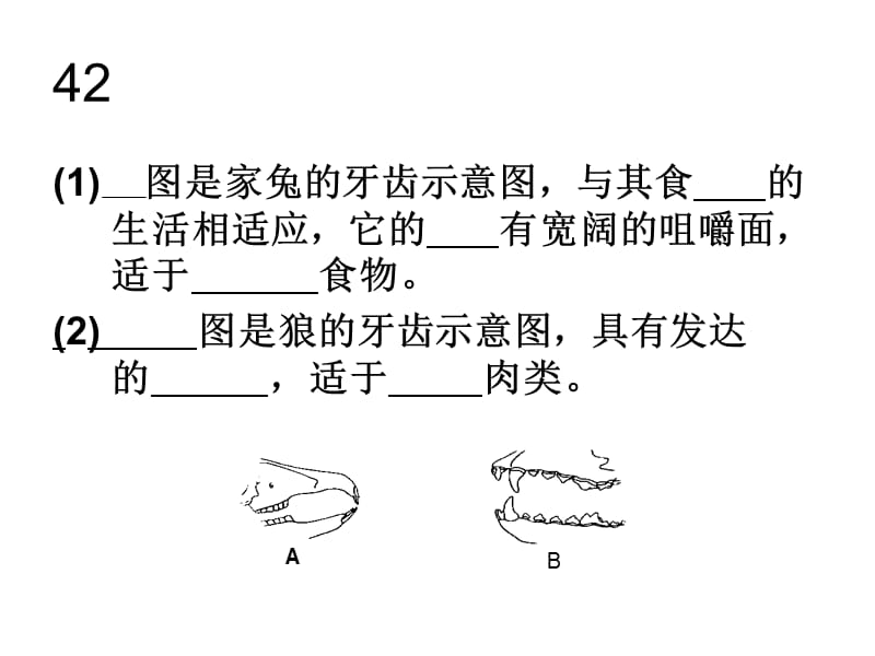 期中考试试卷高频错题.ppt_第2页