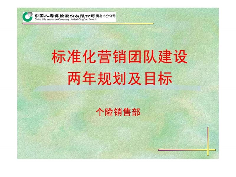 标准化营销团队两年规划.ppt_第1页