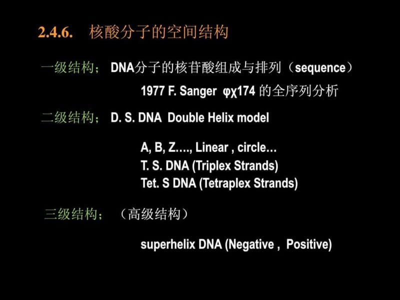 分子生物学_1727335056.ppt_第1页