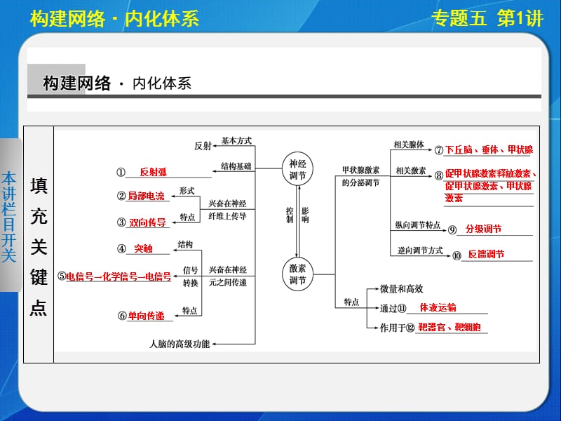 2014步步高生物二轮专题复习与增分策略专题五第1讲人和动物生命活动的调节.ppt_第3页