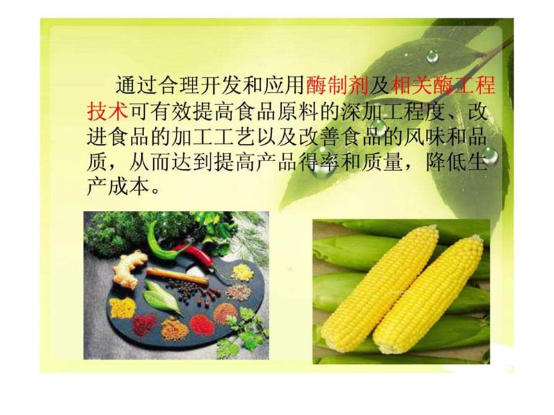 酶在食品中的应用.ppt_第2页