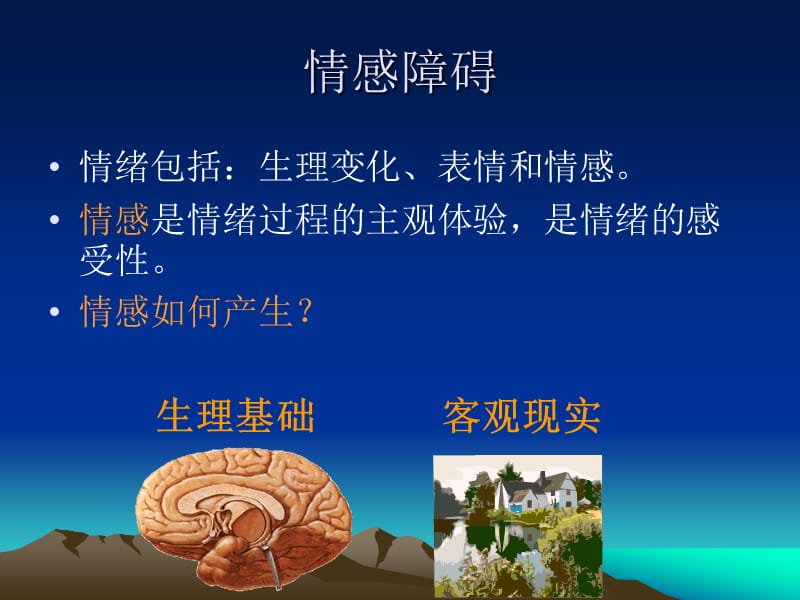 6情感障碍意志行为障碍.ppt_第2页