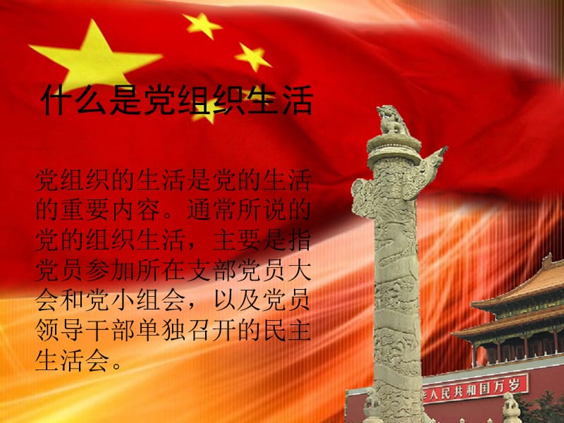 开展党组织活动的意义.ppt_第1页