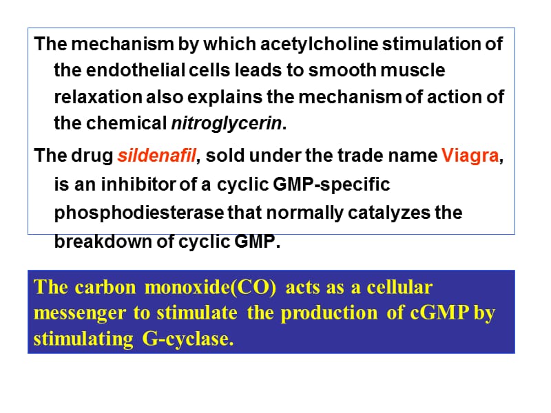 考研资料：北京大学细胞生物学第五章物质的跨膜运输(下).ppt_第3页