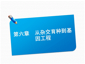 2013届高三生物一轮复习典型例题：2.6.1从杂交育种到基因工程课件.ppt