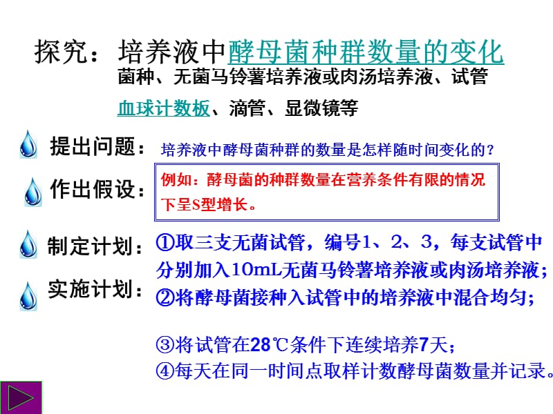 4-2探究酵母菌数量变化.ppt_第3页