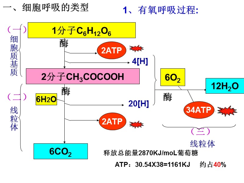 人教版教学课件《细胞呼吸》复习课件.ppt_第3页