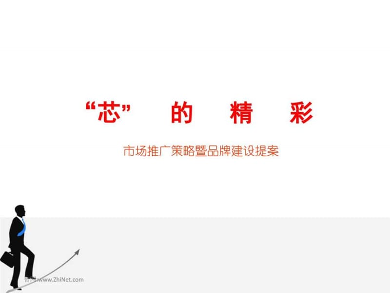 市场推广策略暨品牌建设提案_图文.ppt.ppt_第1页