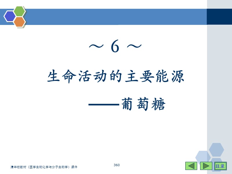 6生命活动的主要能源.ppt_第1页