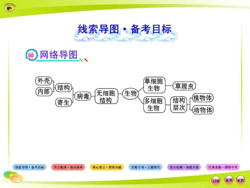 人教版 初中生物 中考复习 第三章 细胞怎样构成生物体 ....ppt_第2页