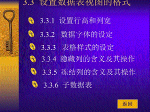 3.3、设置数据表视图的格式.ppt