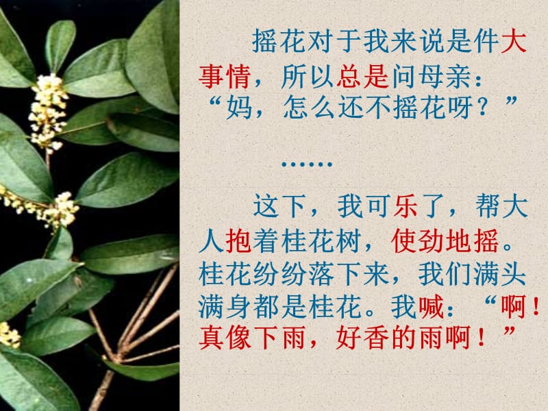 《桂花雨》课件新[1].ppt_第2页